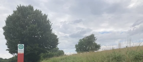 Für den Eickernberg gibt es einen Antrag, dort eine Freiflächenfotovoltaik-Anlage zuzulassen. - © Cordula Gröne