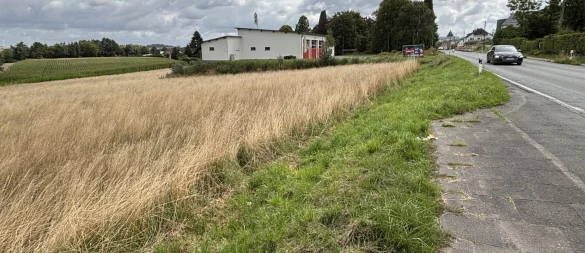 Auf diesem Feld an der Salzufler Straße soll nach dem Bebauungsplan der neue Supermarkt entstehen. Im Hintergrund ist das neue Feuerwehrgerätehaus Wüsten zu sehen. - © Thomas Reineke