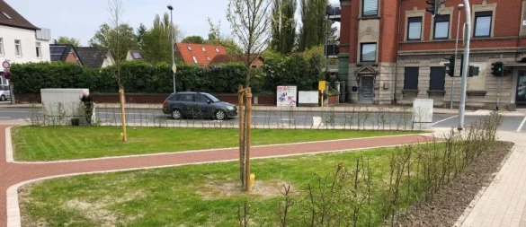 Stefan Zibart (Aufbruch C) möchte weiter auf der Grünfläche Ecke Lange Straße/Pottenhauser Straße einen "Park der Menschwürde" umsetzen. - © Thomas Reineke