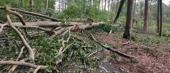 Im Kurgebiet in Randringhausen zog der Sturm erhebliche Schäden nach sich. - © Stadt Bünde