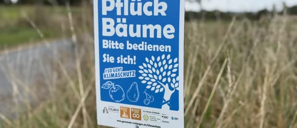 Bestimmte Obstbäume im Gemeindegebiet Schlangen sind per Schild und blauem Band als "Pflückbäume" ausgewiesen. Hier darf sich jeder am frischen Obst bedienen - wie hier am Dedinghauser Weg. - © Gemeinde Schlangen