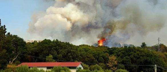 In OWL steigt die Waldbrandgefahr: Trockenheit und menschliches Fehlverhalten machen viele Waldgebiete besonders anfällig für Brände. - © Symbolbild: Pixabay