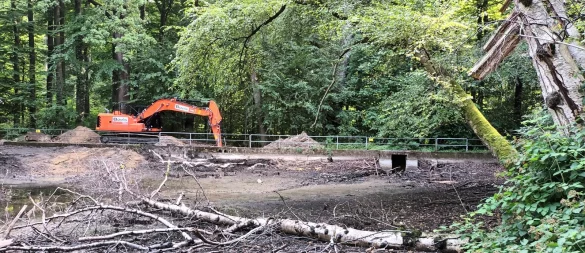 Der zweite Bauabschnitt hat begonnen: Aus dem einst künstlich angestauten Gewässer soll mit der Zeit ein natürlicher Lebensraum entstehen. Das Bauwerk hinten rechts (Mönch) wird vergittert. Foto: Martin Düsterberg - © Martin Düsterberg