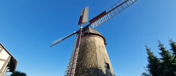Die Windmühle Brink in Bentorf zeigt sich frisch saniert. Unter anderem wurden die Saumleisten am Flügelkreuz ausgetauscht. - © Nadine Uphoff