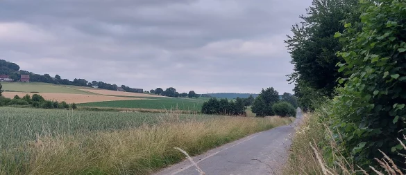Schieder-Schwalenberg verfügt über rund 330 Kilometer Wirtschaftswege, davon sind 119 Kilometer in städtischem Besitz. Dieser Wirtschaftsweg liegt zwischen Brakelsiek und Schwalenberg. - © Michaela Weiße
