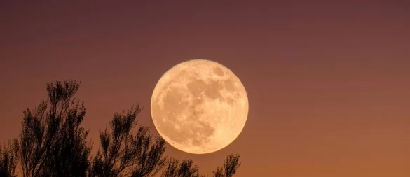 Der erste Supermond des Jahres 2025 erhellt im Oktober den Nachthimmel über OWL. - © Symbolbild: Unsplash
