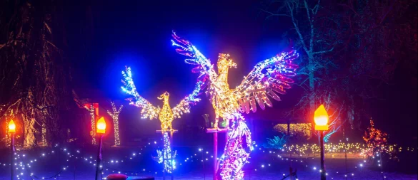 Die bekannte Illumination im Bad Pyrmonter Kurpark wird es wohl erst nächstes Jahr geben. - © Carlhermann Schmitt