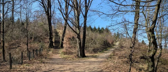 Die ersten Schritte auf Bielefelder Gebiet führen über der A2 entlang zu den gefürchteten Lämmershagener Treppen. 128 Stufen in unterschiedlicher Höhe und ungleichmäßiger Breite gilt es zu bewältigen. Für Wanderer kein Problem, für Läufer sicherlich sehr anstrengend. - © Yvonne Glandien