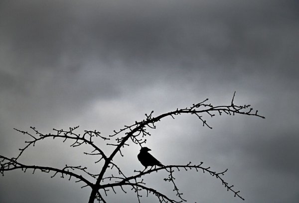 Zum Wochenstart wird das Wetter wieder unbeständiger. Wolken ziehen auf. In der Silvesternacht sind stürmische Böen möglich. (Archivbild) - © Federico Gambarini/dpa