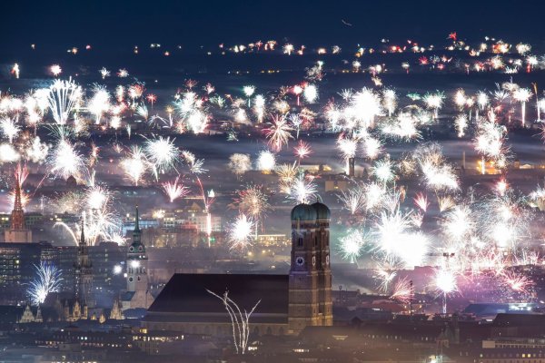 Zahlreiche Wildtiere werden aufgeschreckt, wenn das Feuerwerk startet. (Archivbild) - © Lennart Preiss/dpa