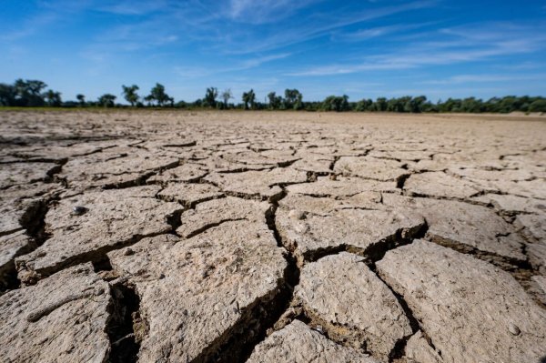 Eine neue Studie besagt, dass auf der Grundlage des derzeitigen CO2-Ausstoßes nur noch drei Jahre bis zur Überschreitung des 1,5 Grad-Ziels bleiben (Archivbild). - © Armin Weigel/dpa