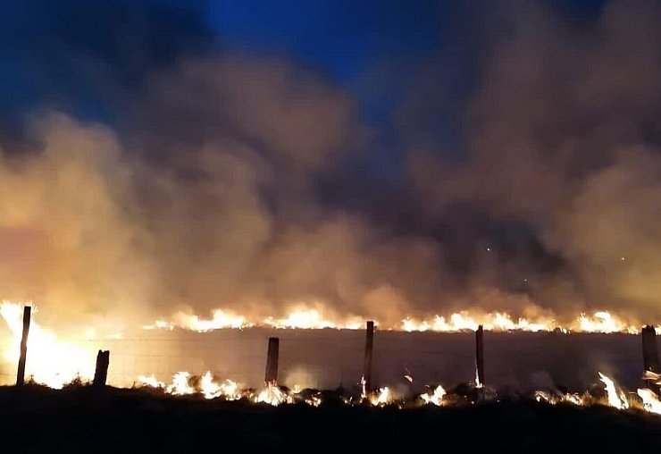 Die Flammen drohten auf einen Gewerbekomplex überzugreifen. - © Freiwillige Feuerwehr Horn-Bad Meinberg