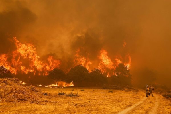 Die Brandbekämpfer sehen sich teilweise mit riesigen Feuerwänden konfrontiert, die durch stürmische Winde jederzeit blitzartig die Richtung ändern können. - © Lalo R. Villar/AP/dpa