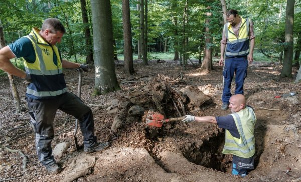 Archäologen haben in Schleswig-Holstein statt der vermuteten Raubgrabung eine Gefechtsstellung der Bundeswehr ausgegraben. - © Markus Scholz/dpa