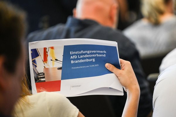 Das Gutachten zur Einstufung der AfD Brandenburg als gesichert rechtsextremistisch wurde am Donnerstag offengelegt. - © Britta Pedersen/dpa