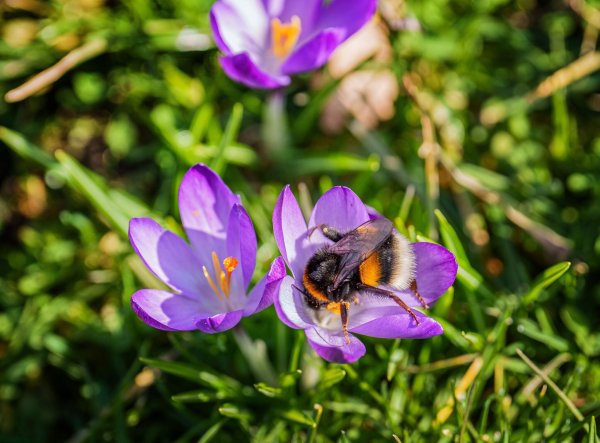Das Wochenende bringt milde Temperaturen und viel Sonnenschein. - © Andreas Arnold/dpa