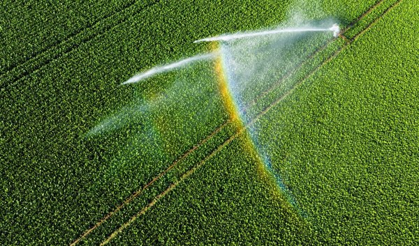 Nicht einmal fünf Prozent der landwirtschaftlichen Fläche kann bewässert werden. - © Julian Stratenschulte/dpa