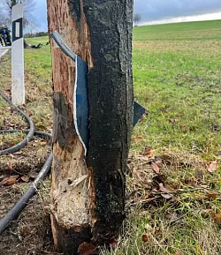 Ein Teil der Sto&szlig;stange hatte sich tief in einen Baum gebohrt. - &copy; Feuerwehr Kalletal/Brinkmann