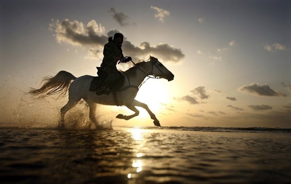 Zu Pferd durchs Wasser - © Foto: dpa