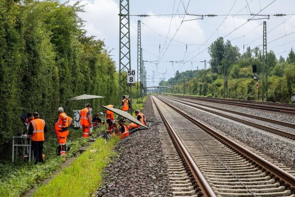 Nach einem Anschlag werden Kabel repariert. (Archivbild) - © Christoph Reichwein/dpa