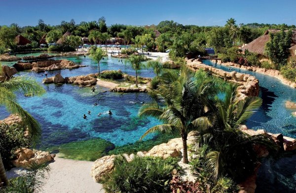 Discovery Cove gilt als ein exklusives Tagesresort und gehört zum Sea-World Konzern. - © SeaWorld Parks & Entertainment/dpa-tmn