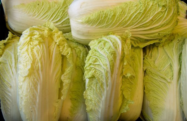 Chinakohl schmeckt mild und wird von vielen besser vertragen als andere Kohlsorten. - © Holger Hollemann/dpa