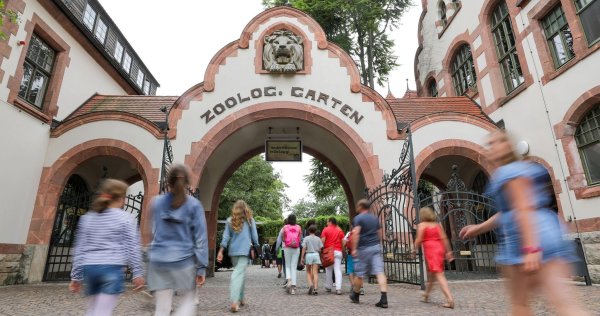 Der Leipziger Zoo hat drei Tigerbabys eingeschläfert. (Archivbild) - © Jan Woitas/dpa-Zentralbild/ZB