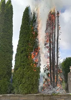 Brennende Thujahecke - &copy; Feuerwehr Barntrup