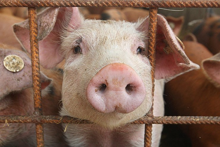 - © SYMBOLFOTO: DPA