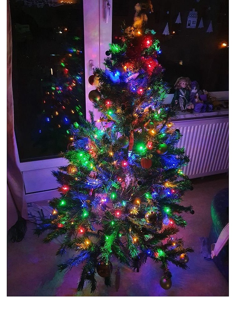 Weihnachtsbäume in Lippe