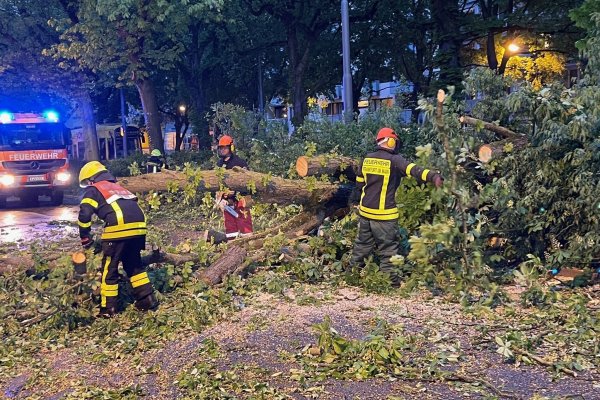 Ein Unwetter ist über Deutschland hinweggefegt; es gibt Verletzte und Schäden. - © Mike Seeboth/dpa