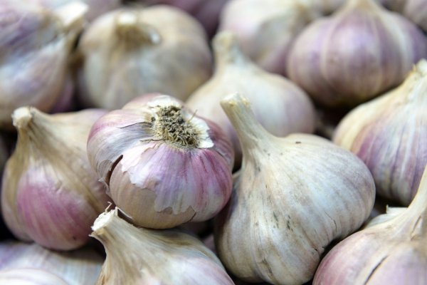 Spanien, China, Ägypten: In den wenigsten Fällen kommt Knoblauch aus Deutschland. - © Andrea Warnecke/dpa-tmn
