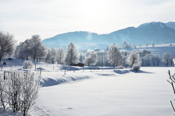 Blick über die idyllische Winterlandschaft rund um den Ritzensee im österreichischen Saalfelden. - © Verena Wolff/dpa-tmn