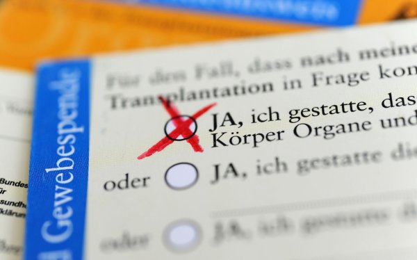 Im Organspendeausweis kann man aus fünf verschiedenen Optionen wählen. - © Marie Reichenbach/dpa