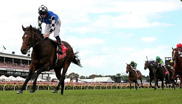 Melbourne Cup-Sieger 2014: Der britische Jockey Ryan Moore gewinnt auf Protectionist (l.) den melbourne-Cup in Australien. - © dpa