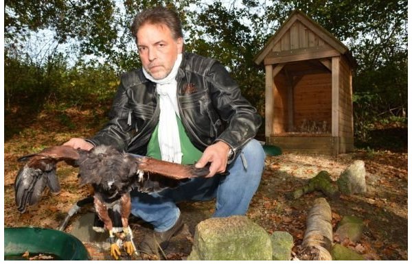 Verstörender Anblick: Michael Bexten ist fassungslos über den Verlust seines Wüstenbussard. Der wurde nur zweieinhalb Jahre alt, weil ihm Unbekannte am Donnerstagabend den Kopf abgeschnitten haben. - © CHRISTINA NAHRWOLD