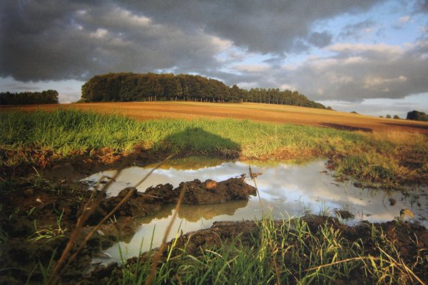 - © Naturpark Teutoburger Wald