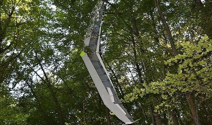 Der Flugdrachen hängt in einem Baum bei Höxter. - © FOTO: THOMAS KUBE/FEUERWEHR HÖXTER