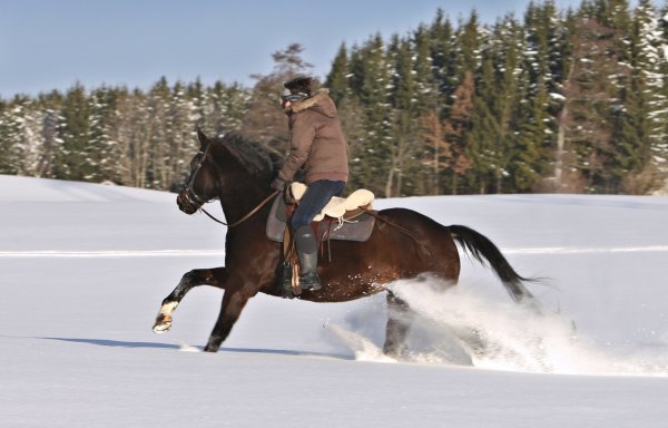 Reiten im Schnee - © Foto: Karl-Josef Hildenbrand
