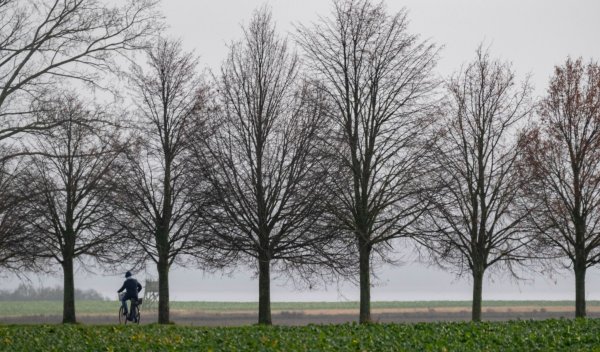 In den nächsten Tage bleibt das Wetter überwiegend trüb. (Symbolbild) - © Stefan Sauer/dpa