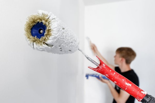 Streichen beim Auszug: Schadenersatz nach Schönheitsreparaturen? - © Foto: Markus Scholz/dpa-tmn