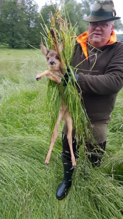 Jan Wisomiersky tr&auml;gt ein Kitz aus einer lippischen Wiese. - &copy; CDU-Kreistagsfraktion Lippe
