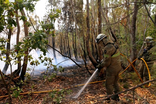 In Portugal gibt es eine leichte Entspannung bei den schweren Waldbränden. Noch aber sind rund 1.400 Feuerwehrleute im Einsatz. - © Xun Wei/XinHua/dpa