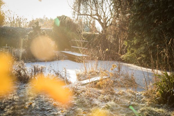 Wer der Tristesse im Garten trotzen will, kann Winterblüher platzieren, um farbliche Akzente zu setzen. - © Christin Klose/dpa-tmn