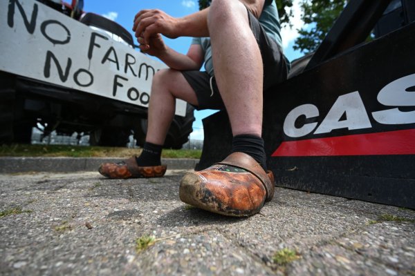 Mehrfach hatten Landwirte in den vergangenen Jahren massiv gegen die Umweltauflagen protestiert. (Archivbild) - © Lars Klemmer/dpa