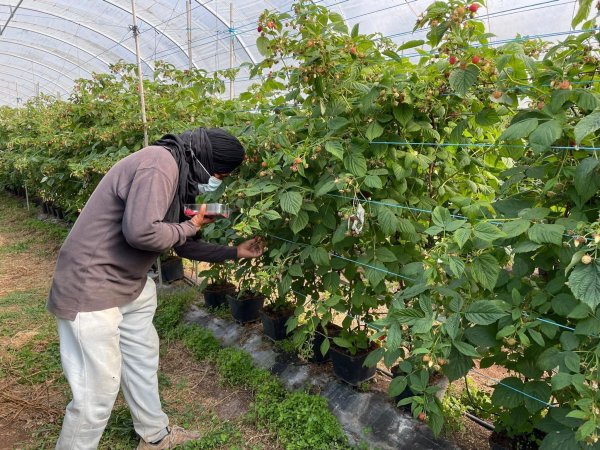 Die befreiten Migranten wurden laut Polizei oft geschlagen. - © -/Portugiesische Kriminalpolizei Polícia Judiciária PJ/dpa