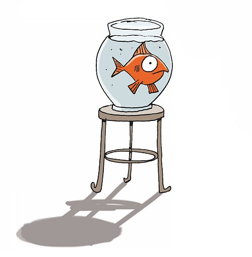 Goldfisch Karel Gott (14)