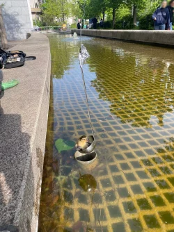 Insgesamt retteten die Einsatzkr&auml;fte zw&ouml;lf Tierkinder mit einer Suppenkelle. - &copy; --/Feuerwehr Frankfurt/dpa