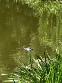 Von weitem wirkte die Attrappe täuschend echt. - © -/Polizei Berlin/dpa