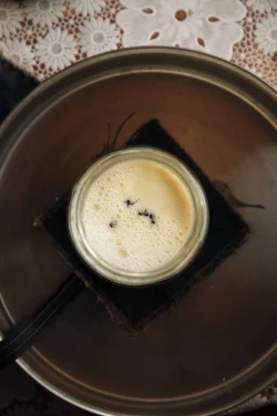 Joghurt-Rezept einmal anders: Man nehme vier Ameisen... - &copy; David Zilber/dpa